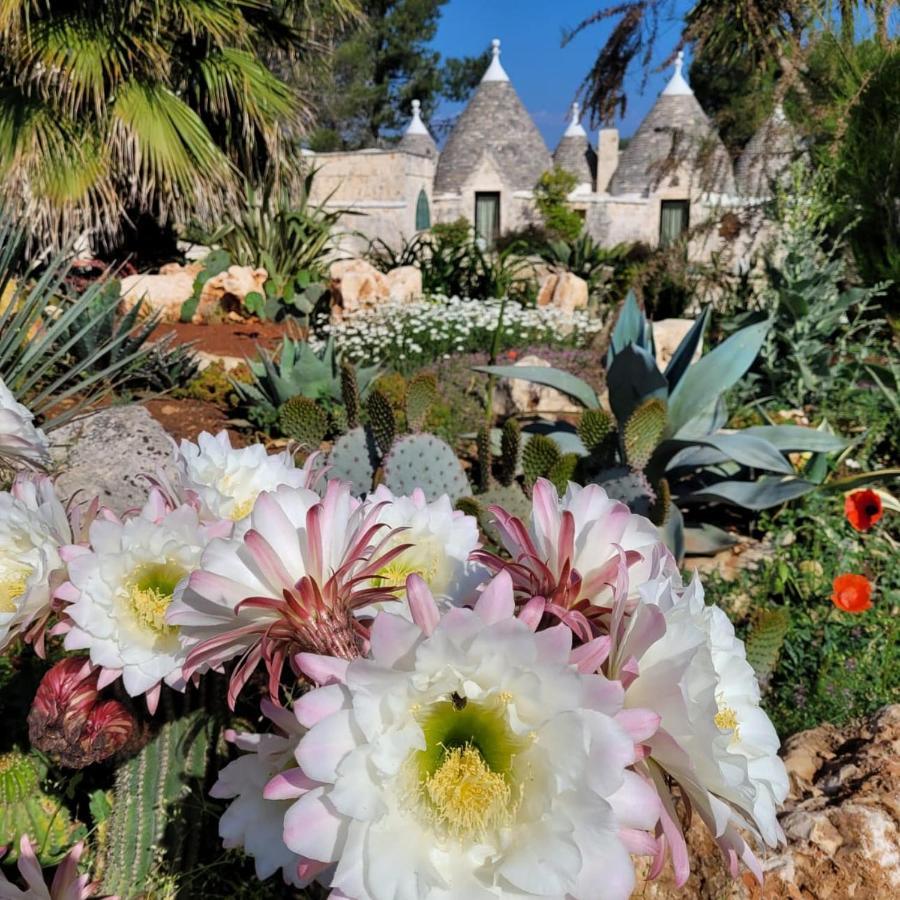 Trullo Bosco Libero Ostuni Villa Екстериор снимка
