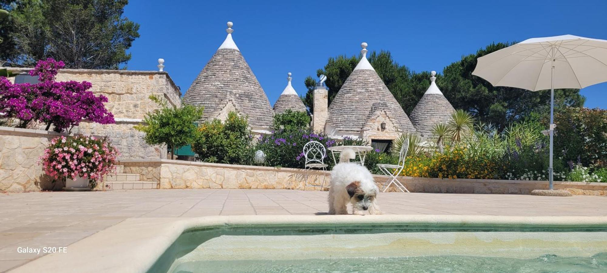 Trullo Bosco Libero Ostuni Villa Екстериор снимка